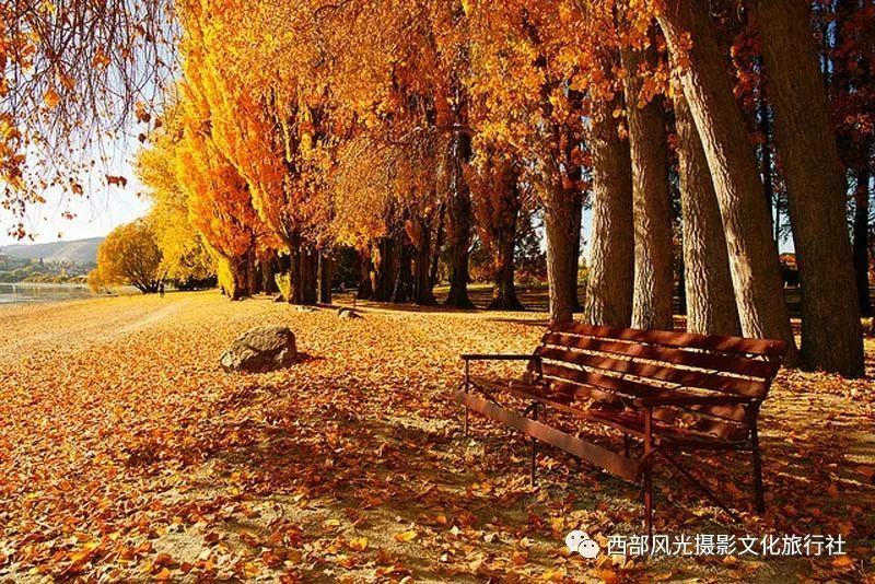 武林立志传