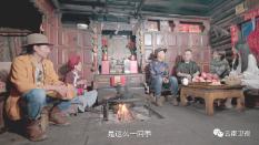 春雨直播app