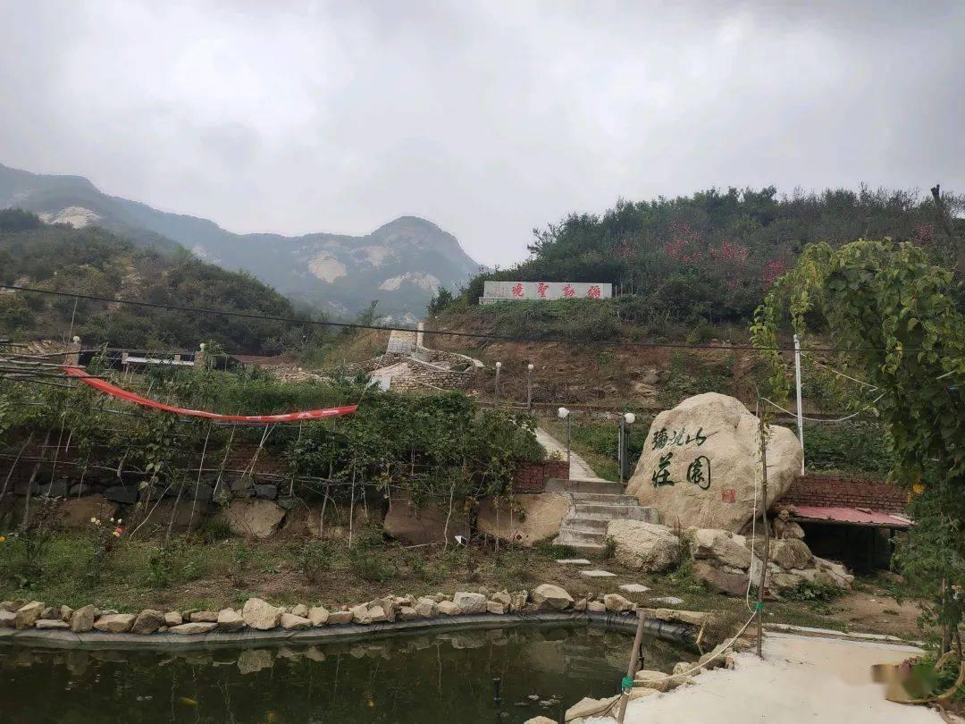 小猫钓鱼正版下载中文版