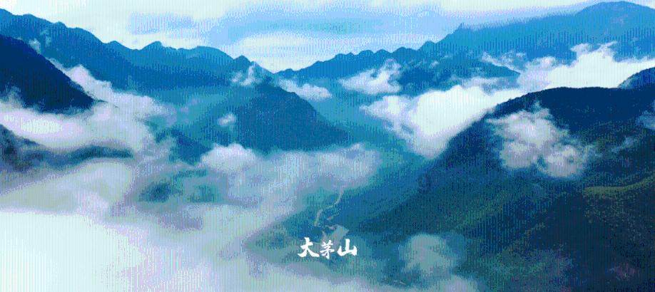 你通过哪些征兆得知爱人想离婚很久了？游戏画面