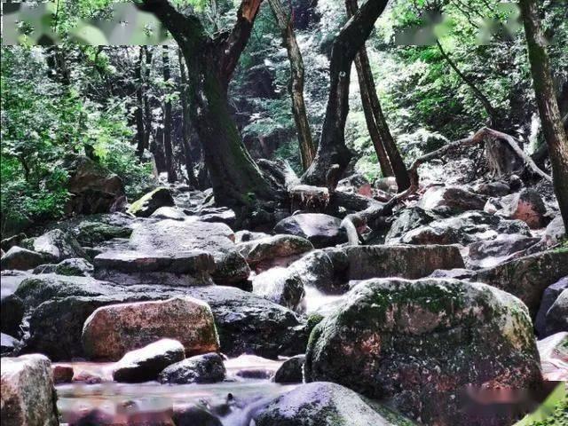 大众汽车在华开启电动化反击,“本土化研发”或成决胜关键