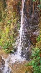 （新春走基层）福建周宁：“花”样致富路 助力乡村振兴