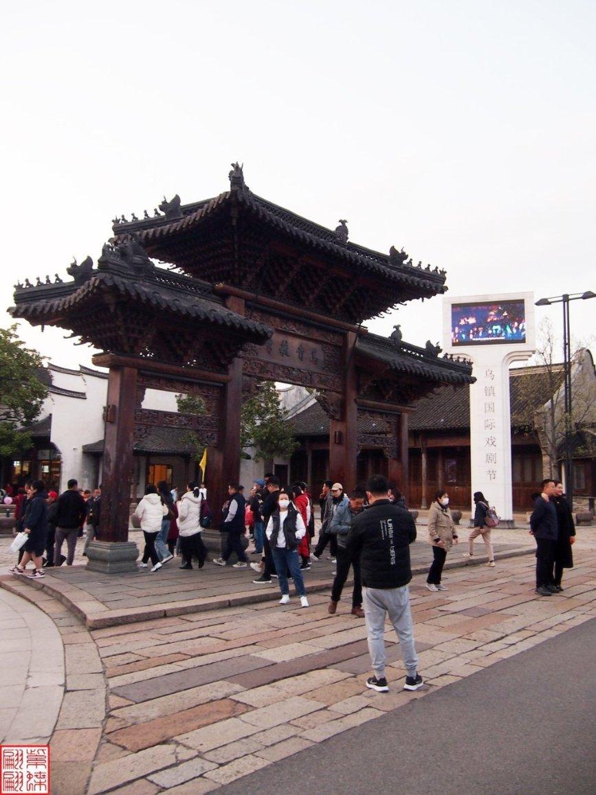 逃离野鸡森林